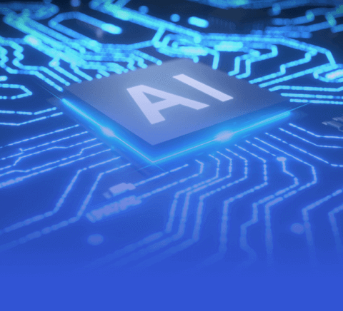 开云官网入口|武术赛事v4.8.7